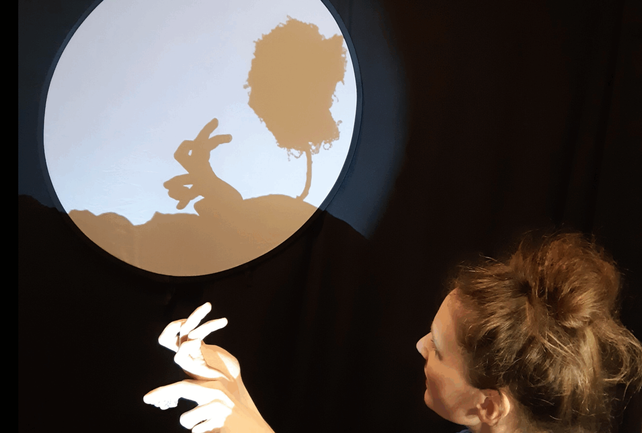 Die Bilder zeigen die Theaterstücke für Kinder in der Theaternacht Lübeck 2025