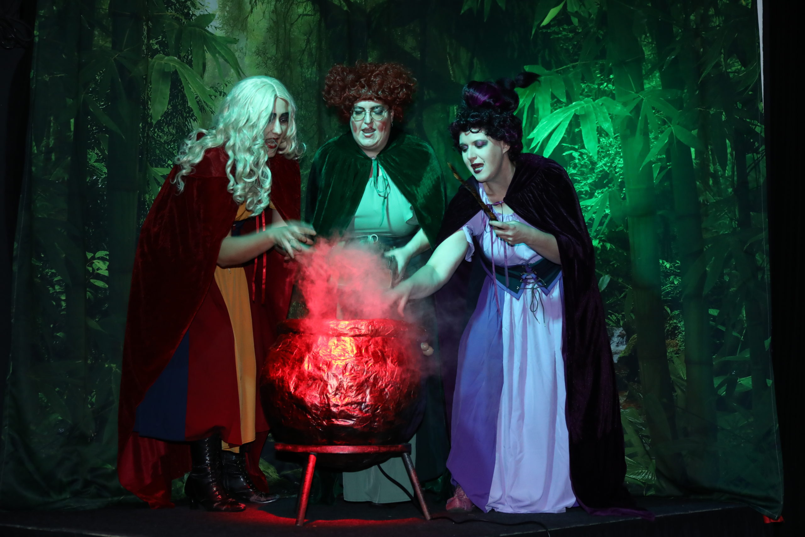 Die Bilder zeigen die Theaterstücke für Kinder in der Theaternacht Lübeck 2025