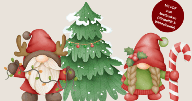 Wichtelzauber - Besuch aus dem Norden